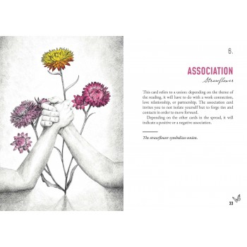 Akasha Oracle kortos Rockpool Publishing